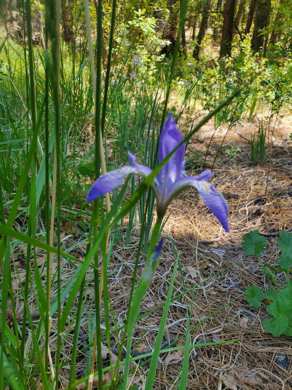 Portfolio photo 7